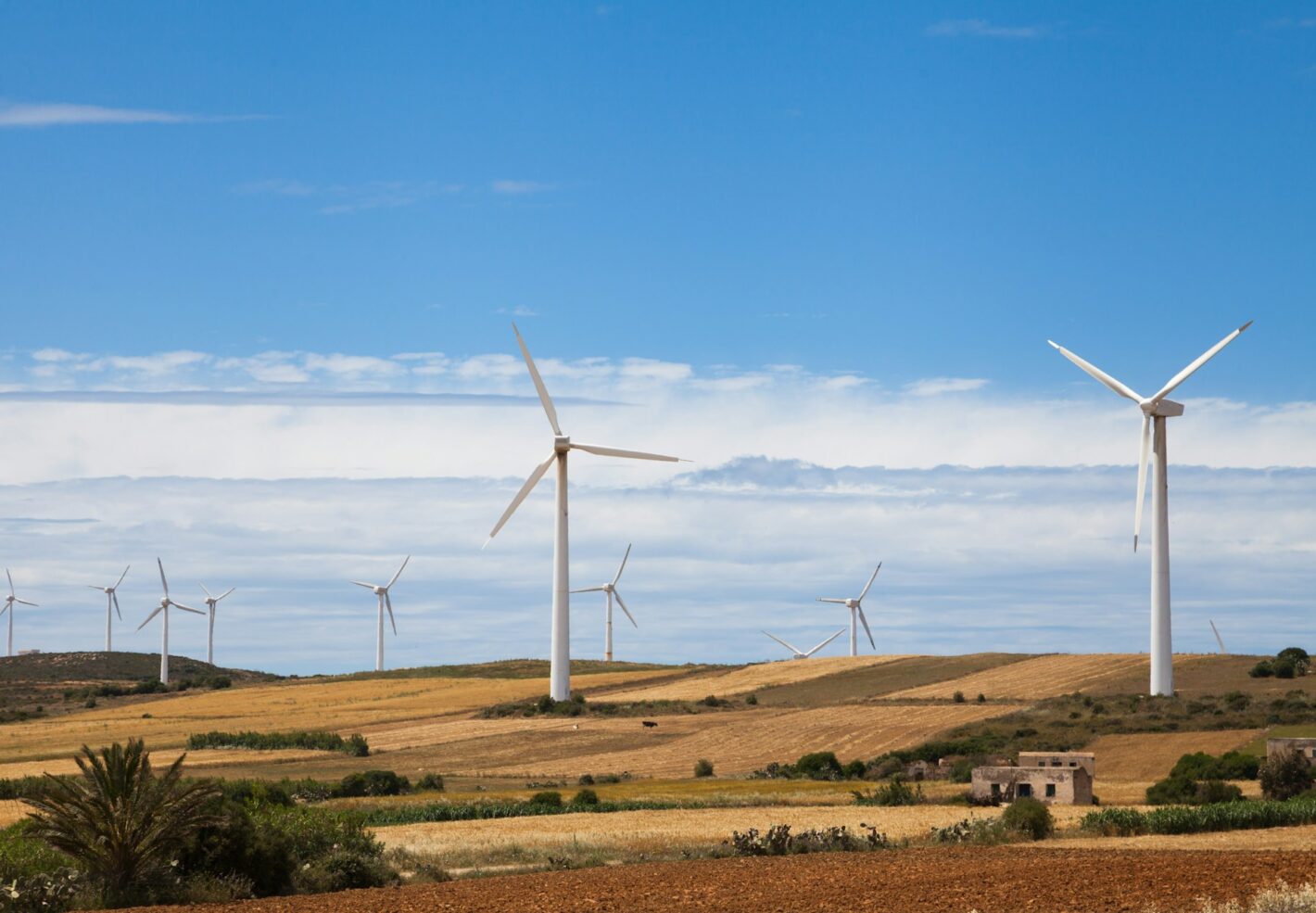 ScaleUp Capital Backs Sustainability Leader Action Sustainability